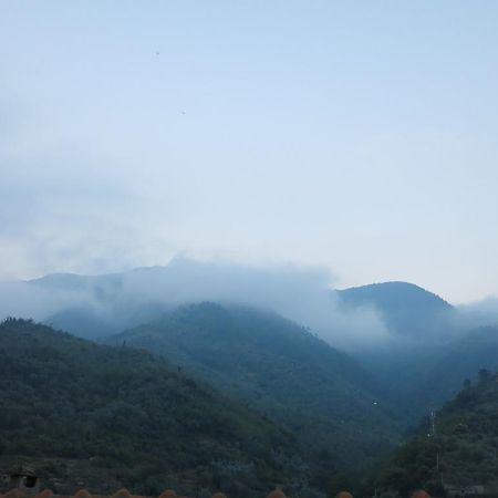 Rustic Liguria Villa Ceriana Bagian luar foto