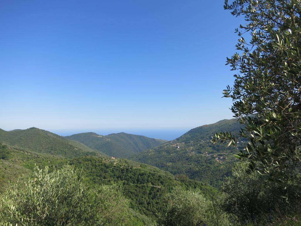 Rustic Liguria Villa Ceriana Bagian luar foto