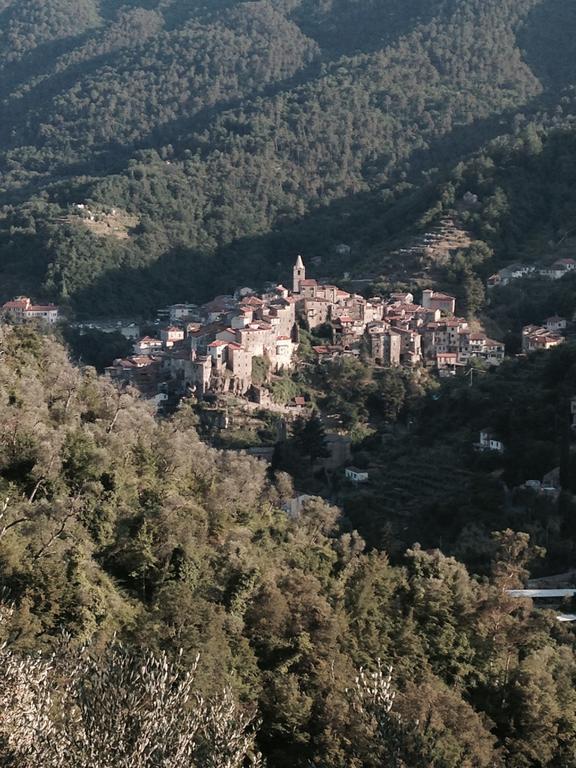 Rustic Liguria Villa Ceriana Bagian luar foto